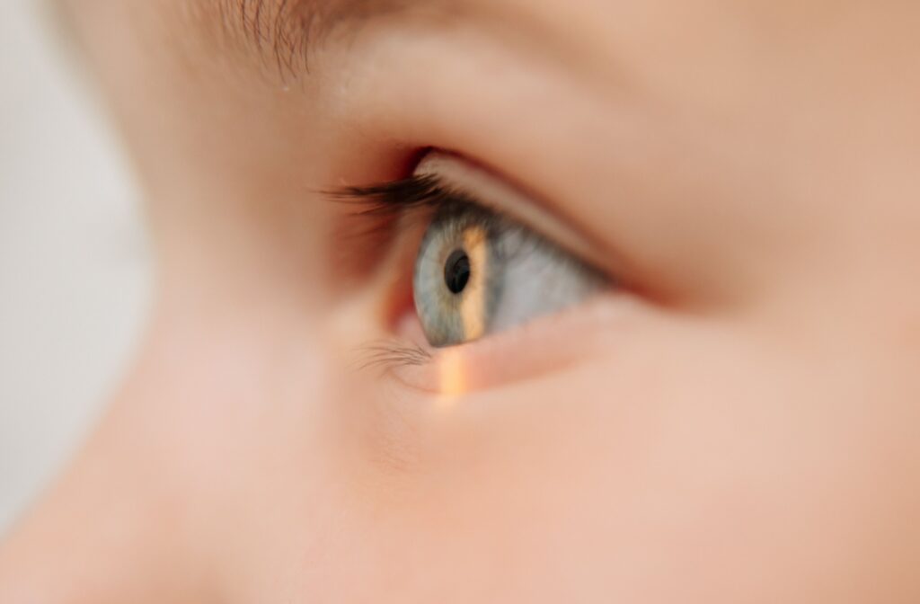 Close-up of a child's eye with the light shining on the iris during an eye exam.