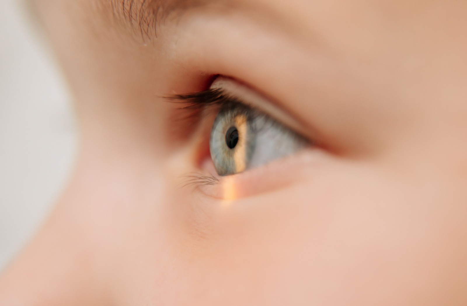 Close-up of a child's eye with the light shining on the iris during an eye exam.